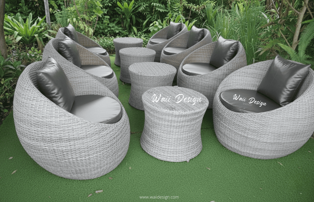 Nov 24 (2)